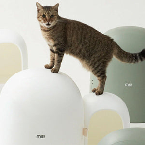 Kitty Litter Box Cat Litter Box MAX | Spacious & Eco-Friendly