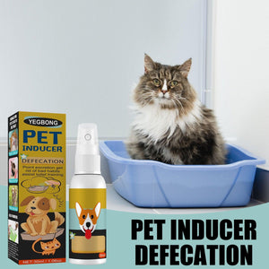 Cat And Dog Defecation Positioning Inducer