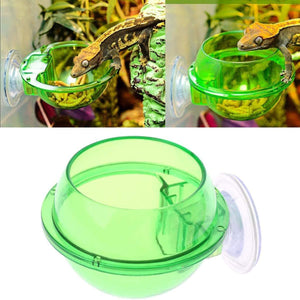 Suction Cup Reptile Feeder Bowl Anti-Escape Feeding Dish for Small Reptiles