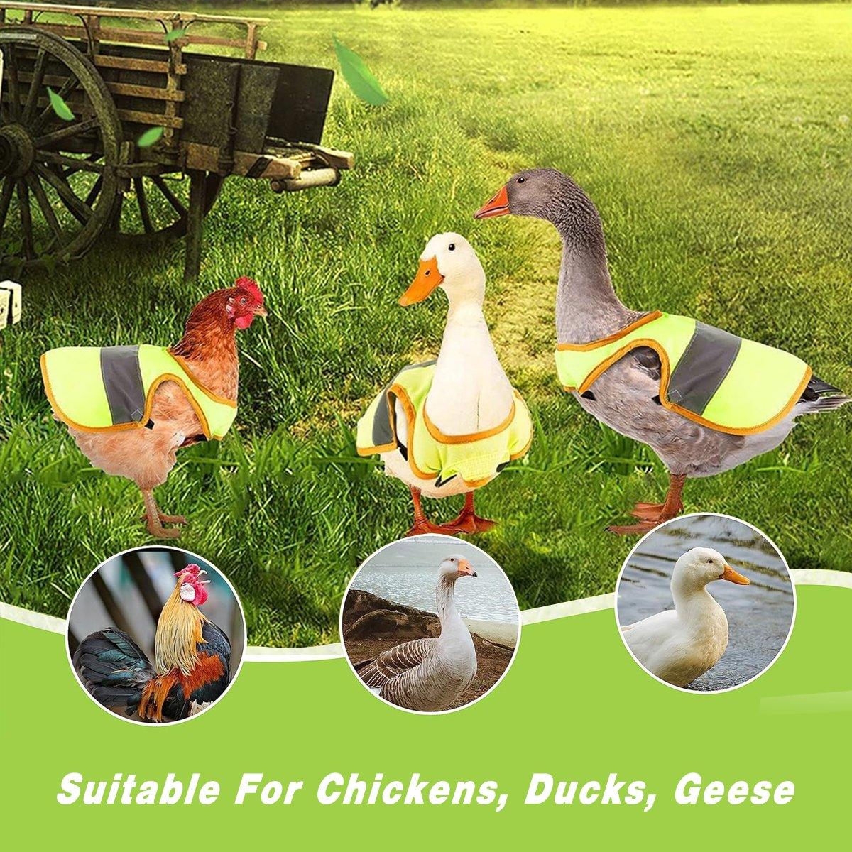 Pet Clothes Chicken Vest Night Anti-lost Duck And Goose Reflective Cloak Warm Clothing