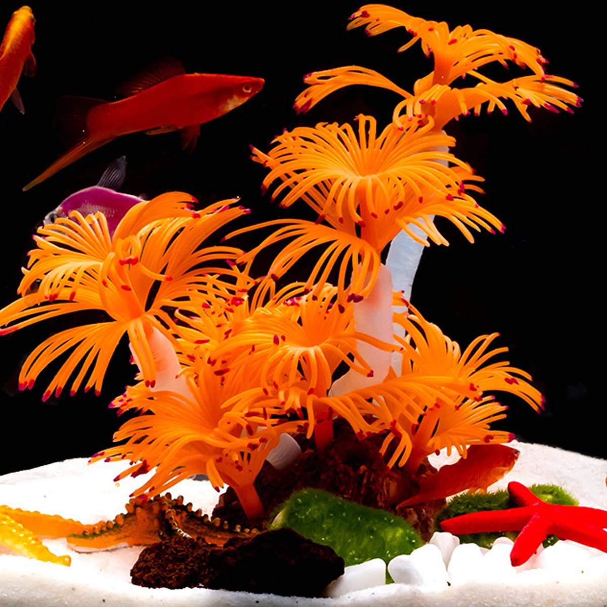 Vibrant Soft Coral Fish Tank Decoration for a Stunning Aquarium