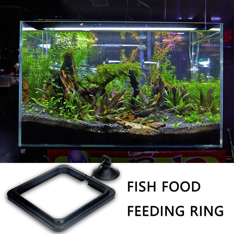 Fish Feeding Ring Aquarium Fish Tank Feeder Floating Fish Food Feeder Fish Food