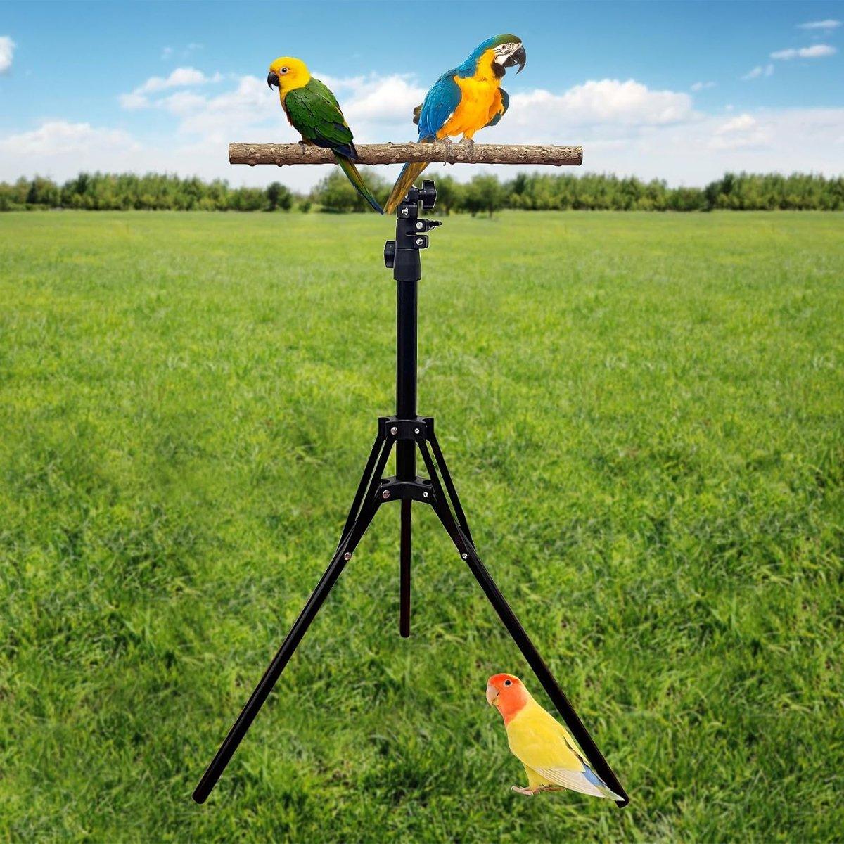 Adjustable Bird Perch Stand Foldable Training & Play Stand for Parrots & Birds