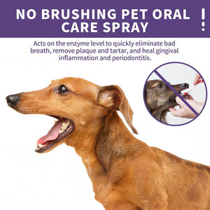 Pet Dental Spray for Dogs and Cats Breath Freshener Odor Remover Oral Cleaner