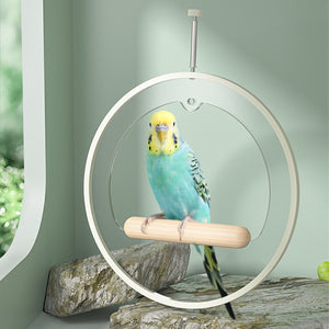 Premium Acrylic Bird Stand Parrot Stand Bird Toys