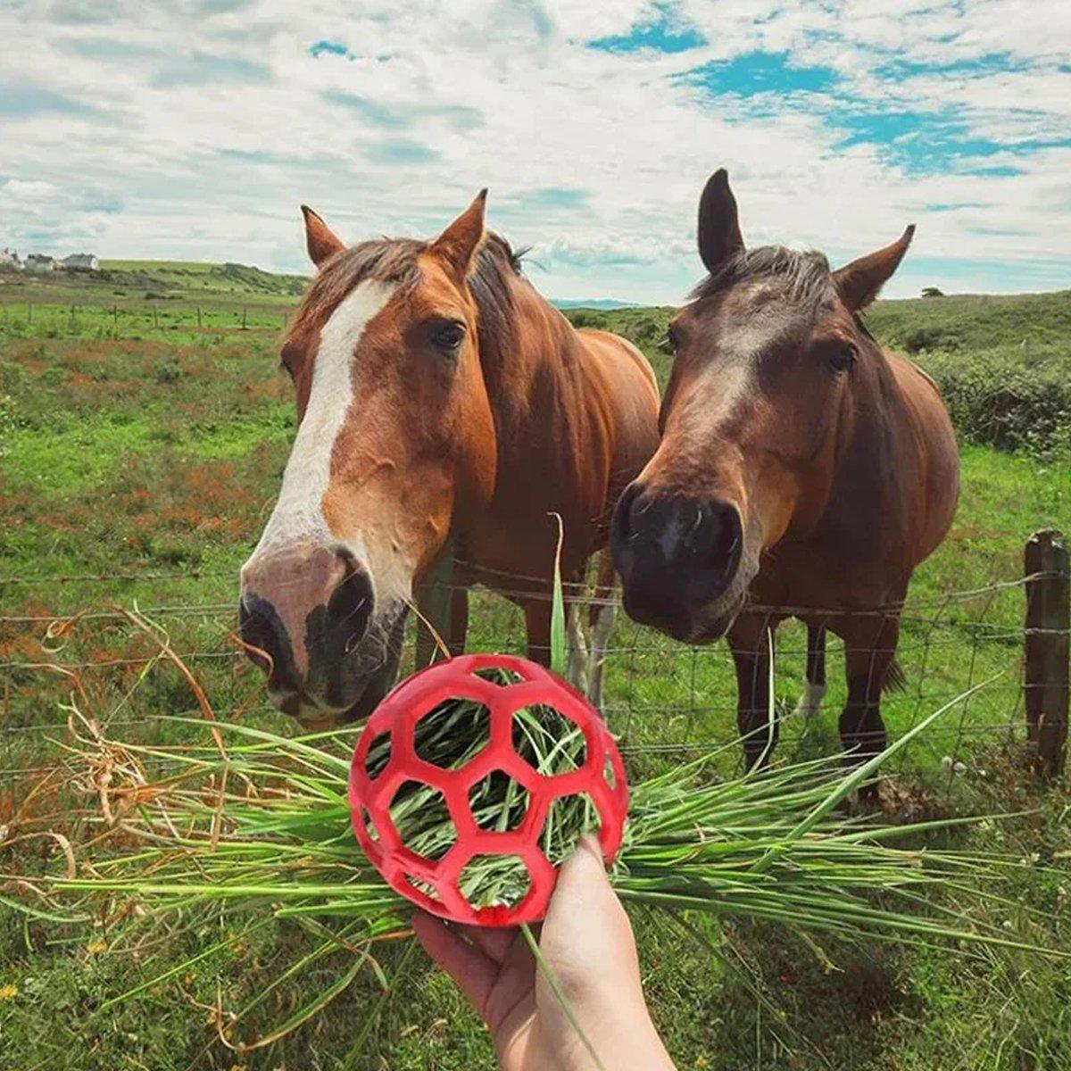 Hanging Hay Feeders Stable Feed Polo Feeding Balls Toy for Horses and Livestock