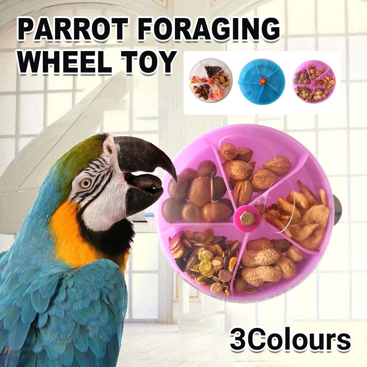 Interactive Parrot Foraging Wheel Toy