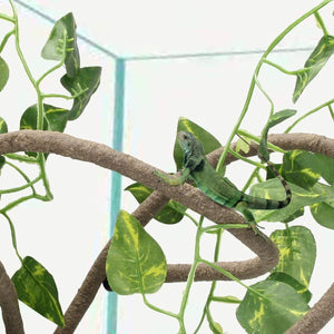 Reptile Climbing Branch with Suction Cups Realistic Jungle Decor for Terrariums