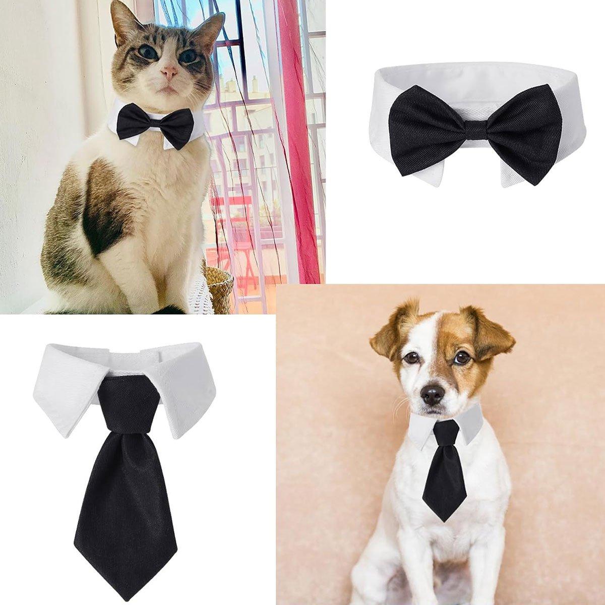 Adjustable Solid Colour Bow Tie Designer Pet Collar For Dog and Cat