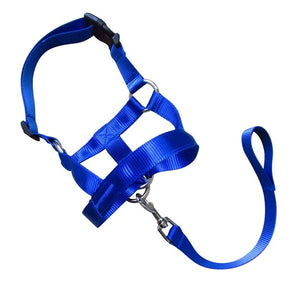 Dog Training Head Collar Halter Stop Pulling Training Tool Harness