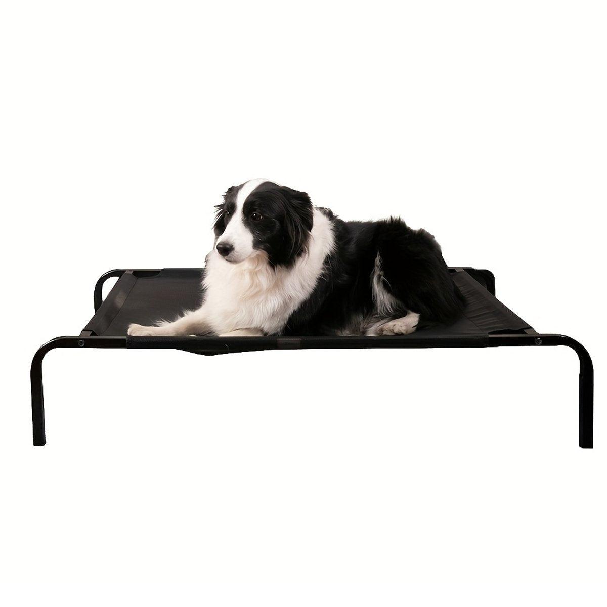 Heavy Duty Pet Raised Bed Elevated Dog Bed