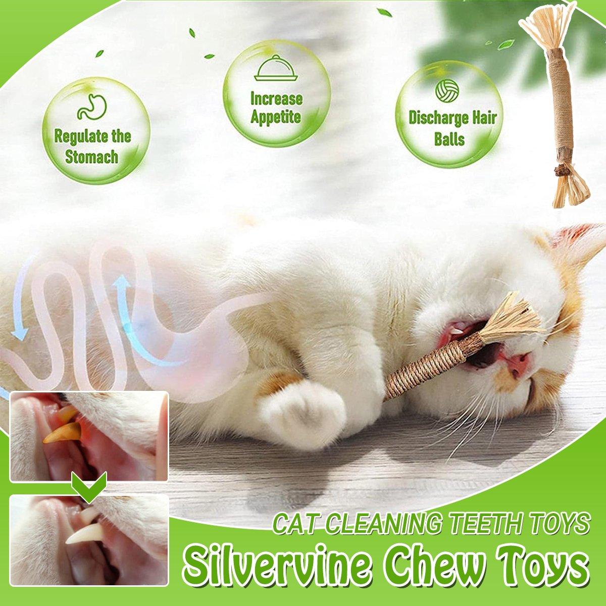 Cat Dental Health Silvervine Sticks Natural Chew Toy