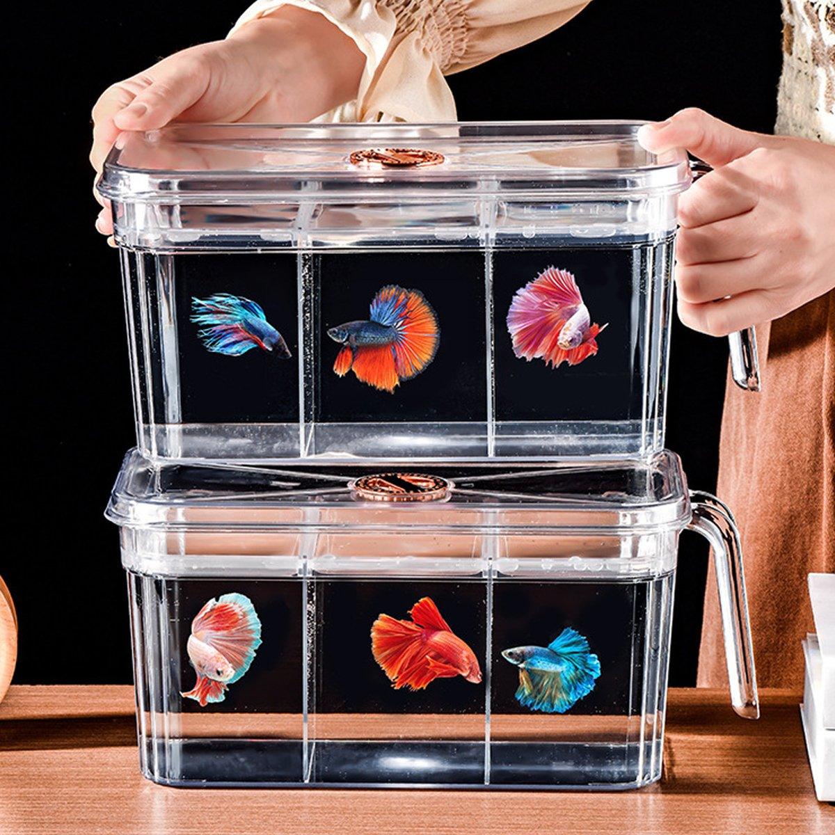 Desktop Fish Tank with Three-Division Design Compact & Stylish Aquarium