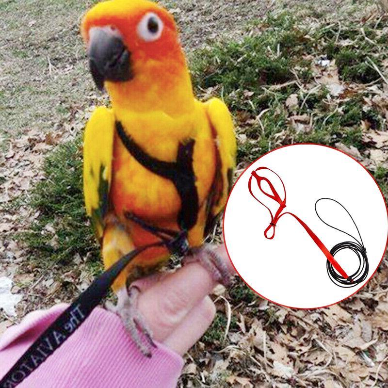 Pet Parrot Bird Harness & Lead Leash