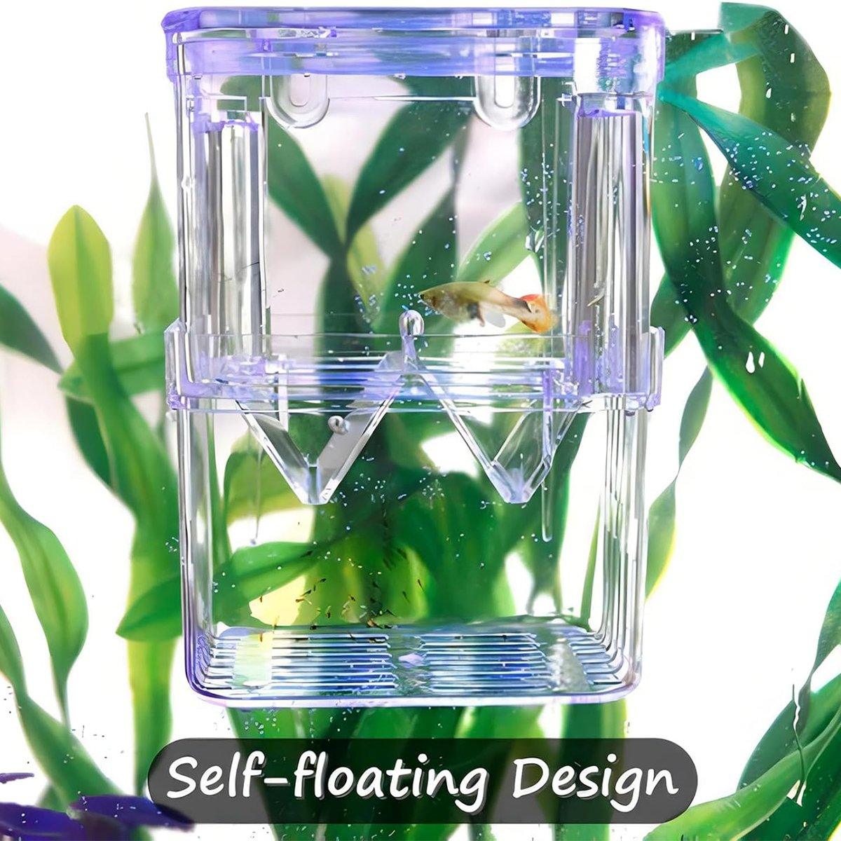 Transparent Guppy Breeding Box for Aquarium Fish Breeding and Isolation