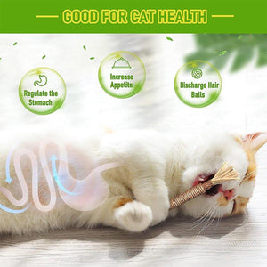 Cat Dental Health Silvervine Sticks Natural Chew Toy