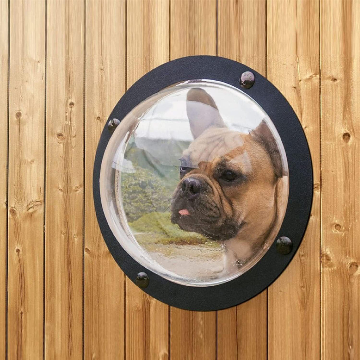 Acrylic Dog Window Semi-round Cover Pet Fence