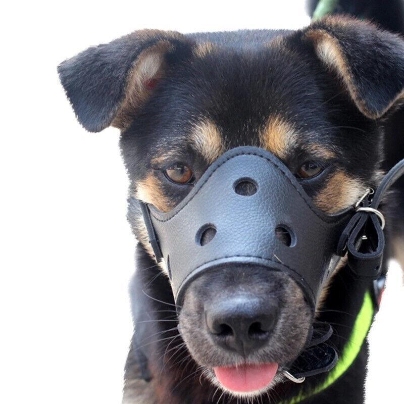 Adjustable Leather Pet Dog Mask Mouth Muzzle Anti Barking