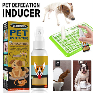 Cat And Dog Defecation Positioning Inducer