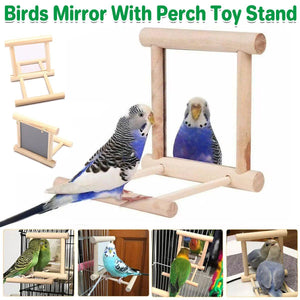 Bird Mirror with Perch 2-in-1 Toy Stand for Small to Medium Birds