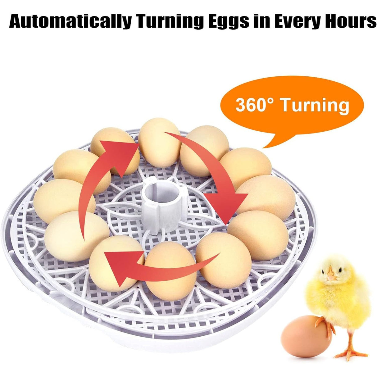 Automatic Small Egg Incubator for Chicken Pigeon