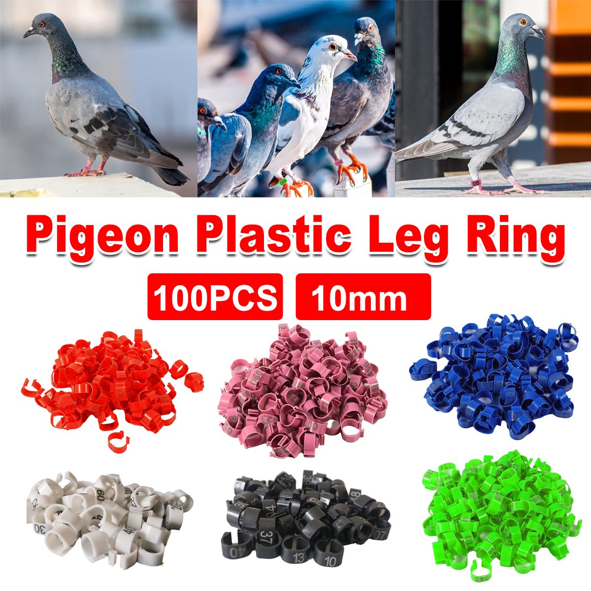 100 Numbered Bird Leg Bands for Poultry