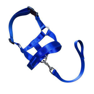 Dog Training Head Collar Halter Stop Pulling Training Tool Harness