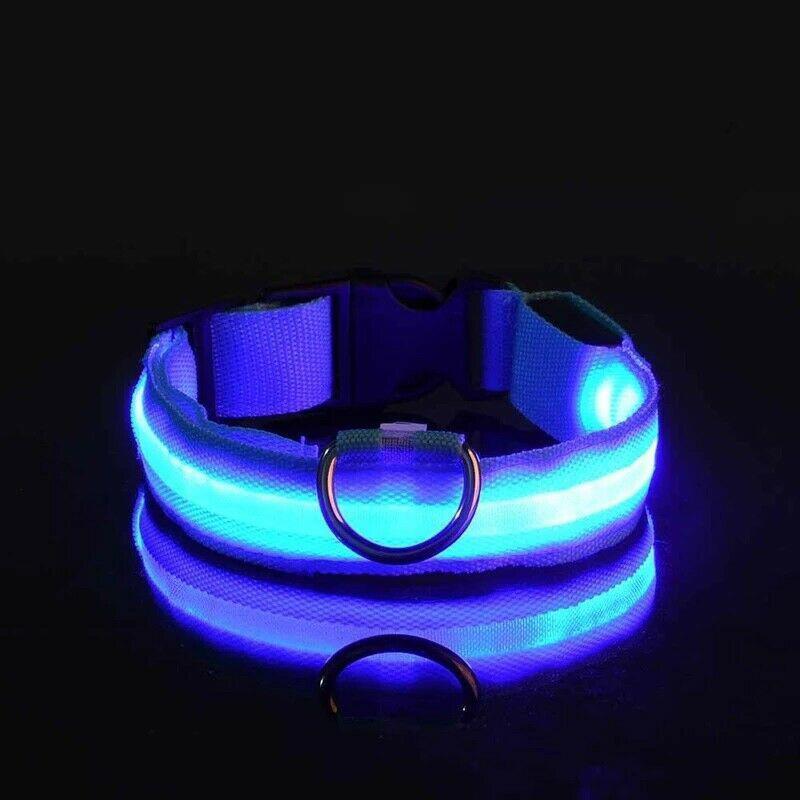 USB Rechargeable Light Up Dog Collar Glow in the Dark Safety for Night Walks