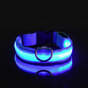 USB-Charged LED Nylon Dog Collar-Glowing Flashing Pet Safety Night Light Collar