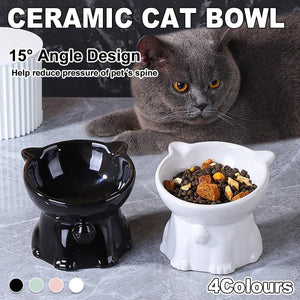 Tilted Ceramic Cat Bowl Ergonomic Design