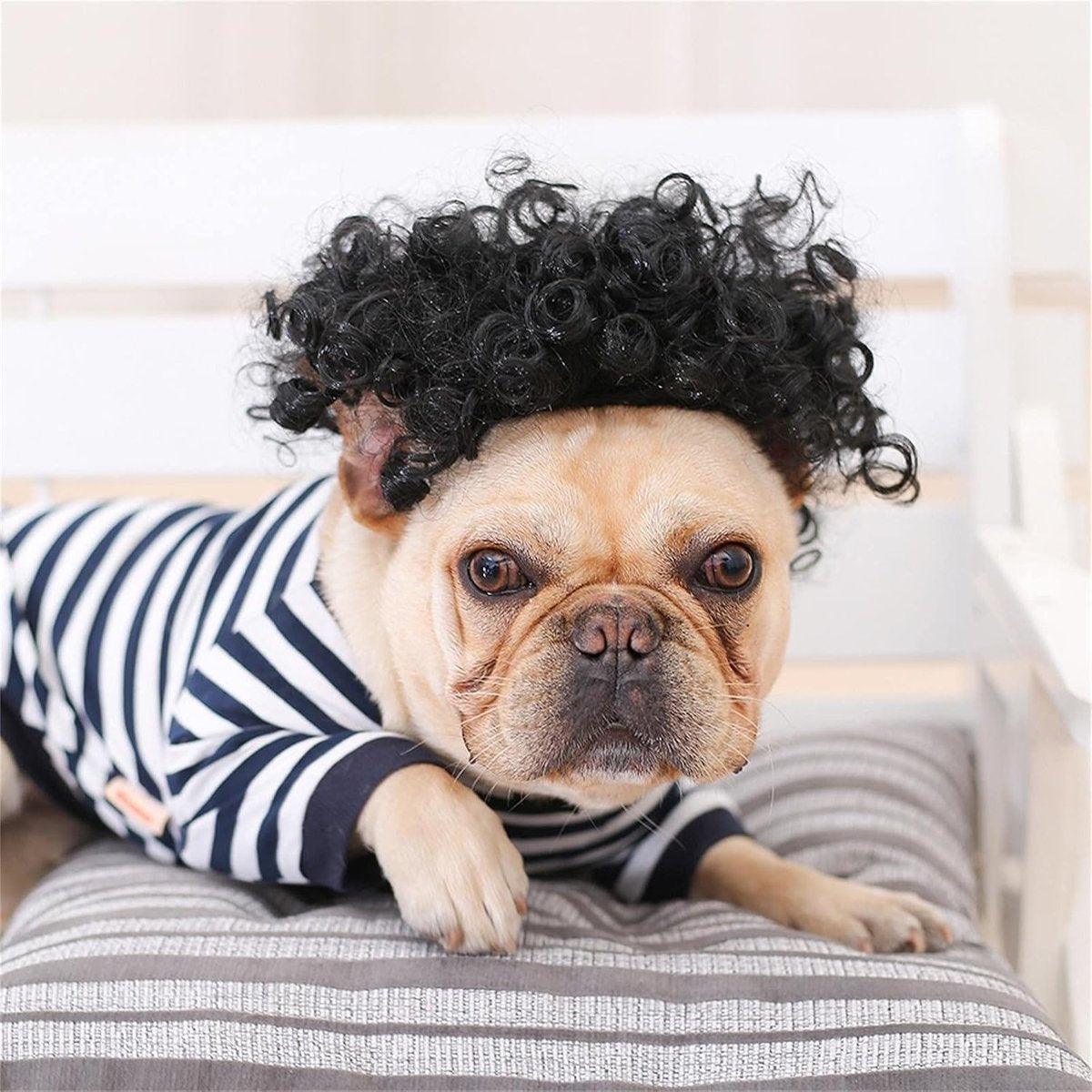 Stylish  Funny Pet Wig With Bangs Fun and Comfortable