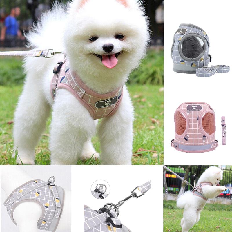 Adjustable Mesh Pet Vest Harness & Leash - Cat Dog Kitten Walk Collar