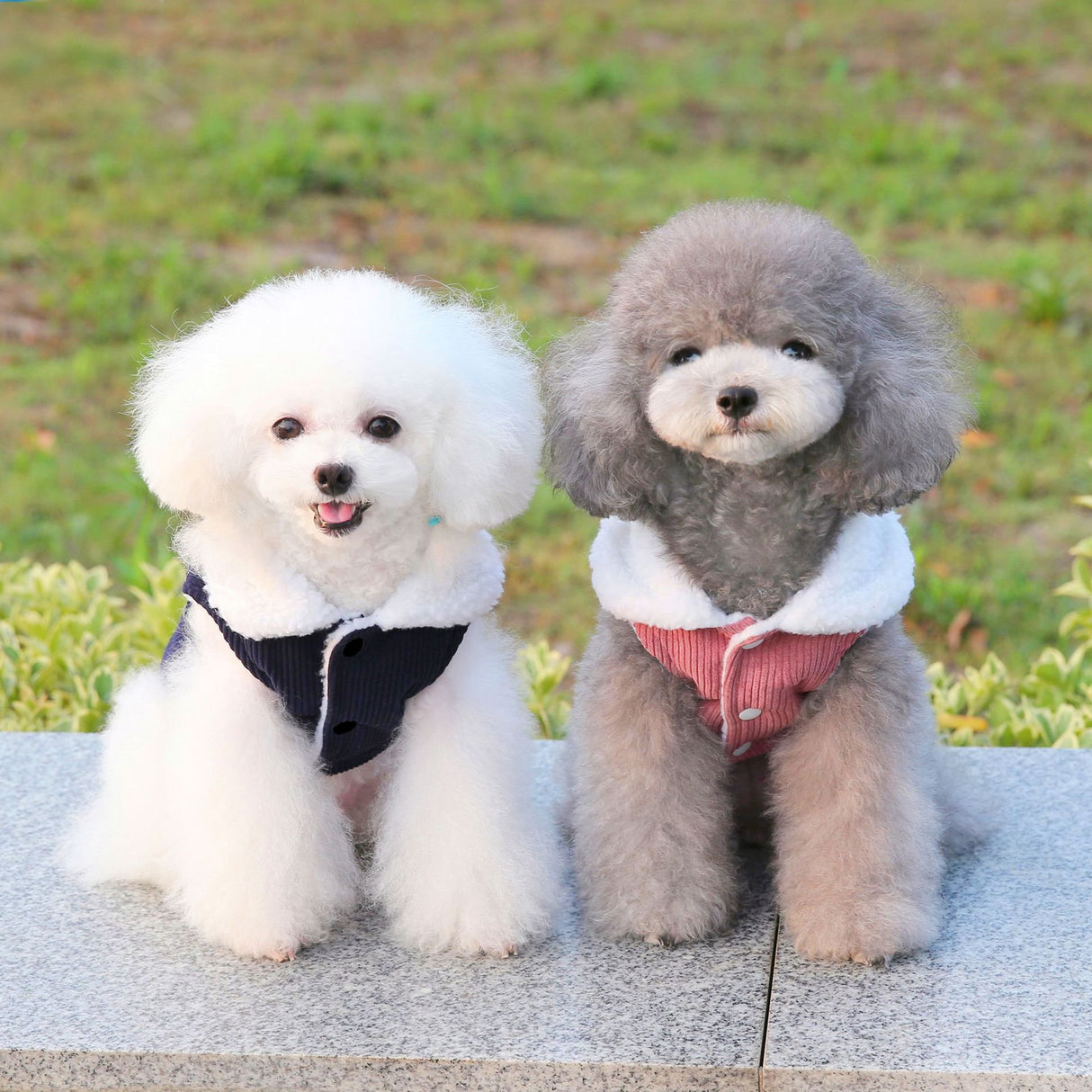 Pet Dog Clothes Jackets Warm Jumper Windproof Puppy Winter Coat Clothes Clothing