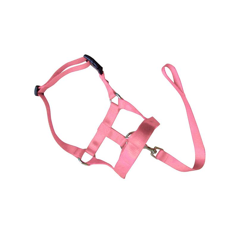 Dog Training Head Collar Halter Stop Pulling Training Tool Harness