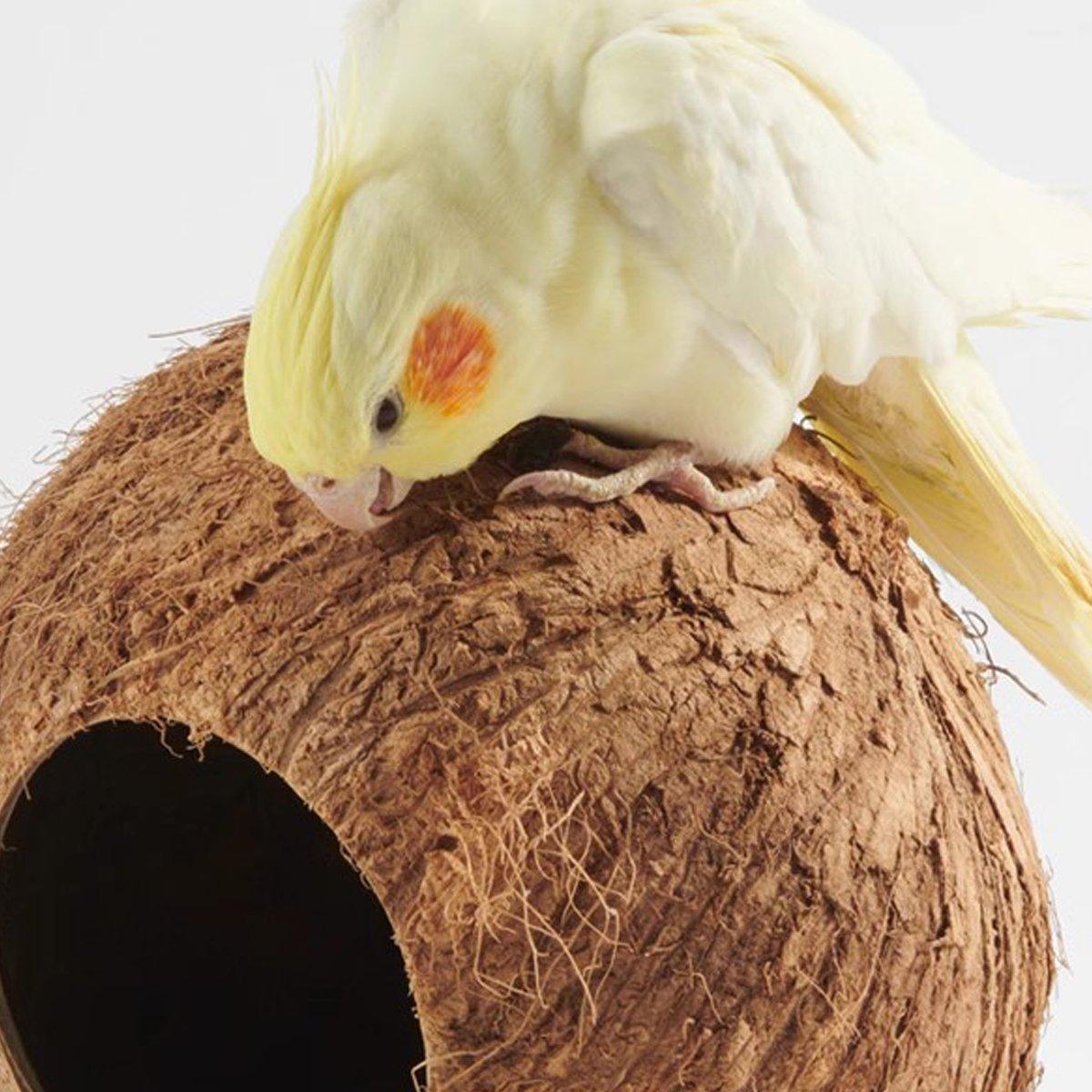 Natural Coconut Shell Bird Nest Safe & Cozy Bird House