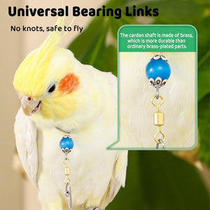 Adjustable Parrot Collar with Opal Necklace and Stainless Steel Chain