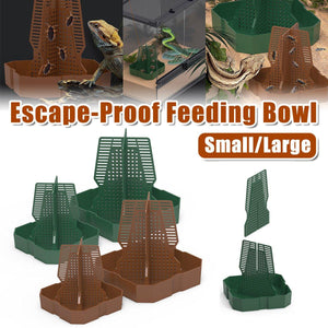 Reptile Feeding Basin with Anti-Escape Design