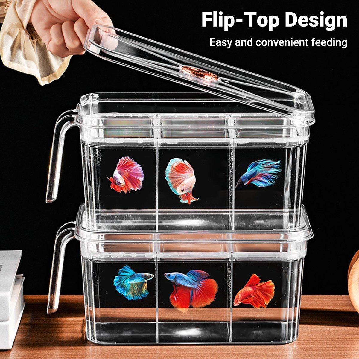 Desktop Fish Tank with Three-Division Design Compact & Stylish Aquarium