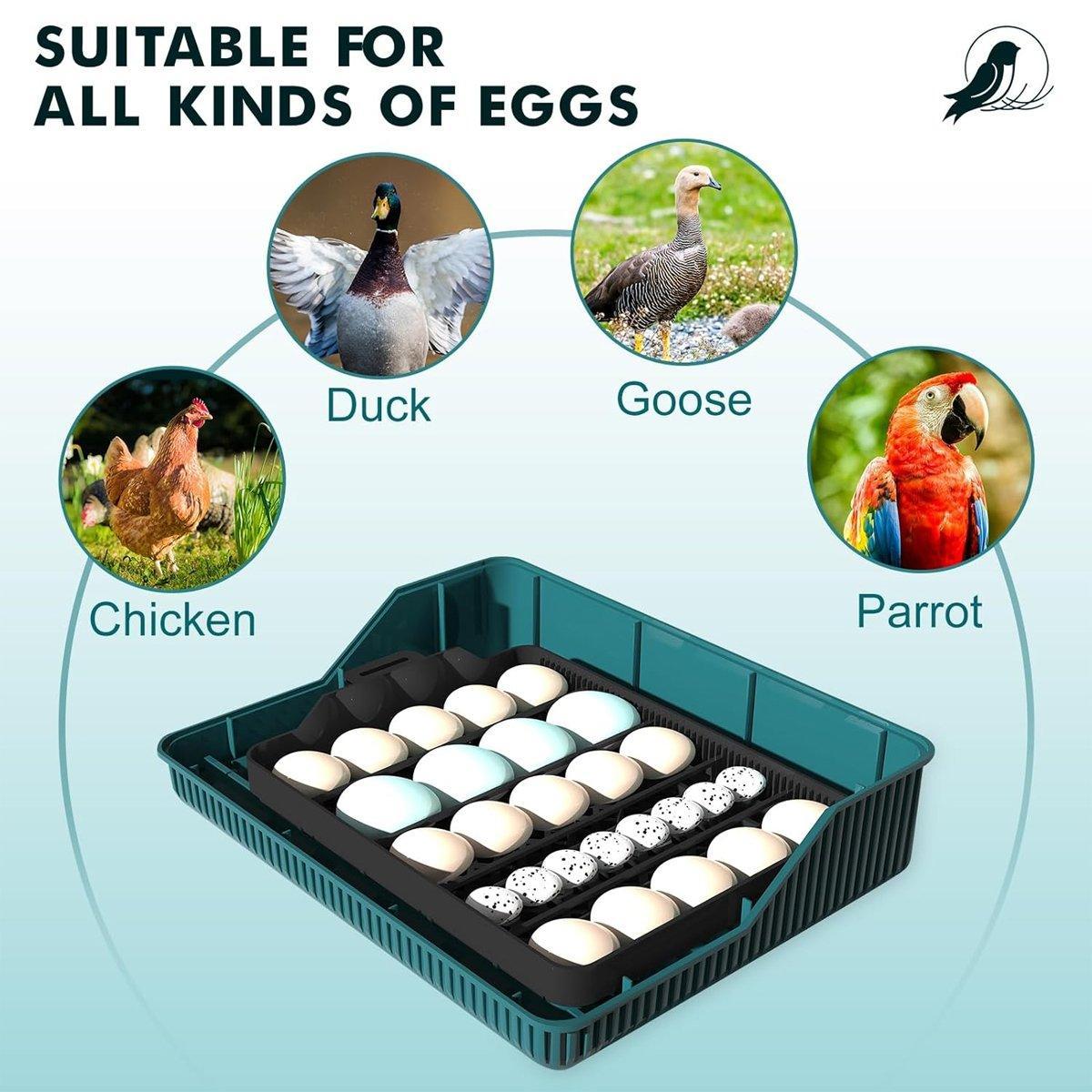 Reliable Fully Automatic Chicken Incubator