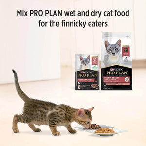 Pro Plan Adult Fussy & Beauty Wet Cat Food Salmon Gravy Wet 85g*12