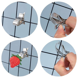 6X Fruit Pet Cage Accessories Bird Food Holders Clip Parrot Feeder Feeding Clamp