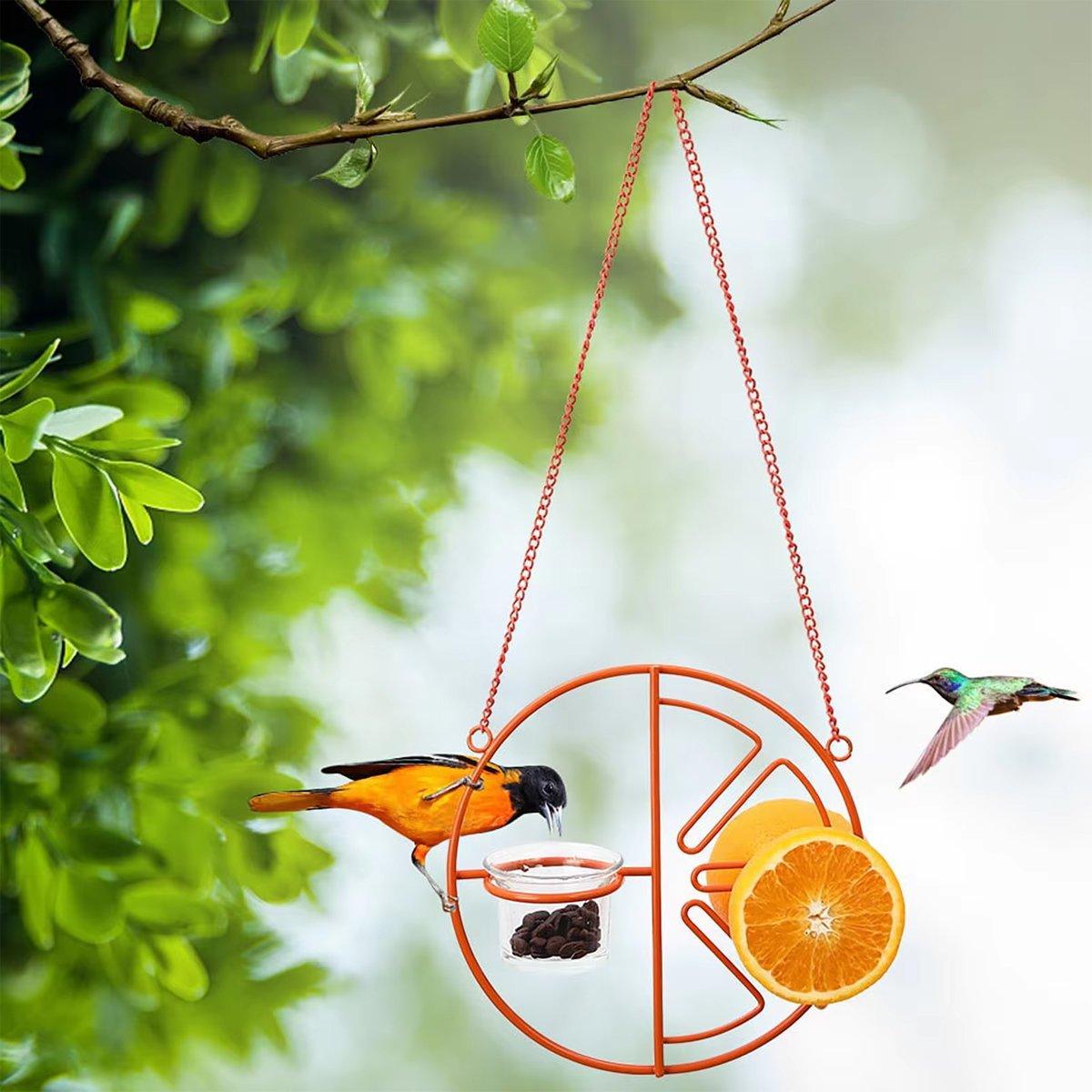 Hummingbird Feeding Bracket Outdoor Indoor Bird Feeder A Hummingbird Feeding Water