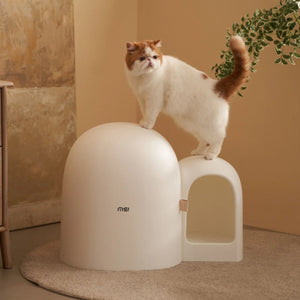 Kitty Litter Box MAX