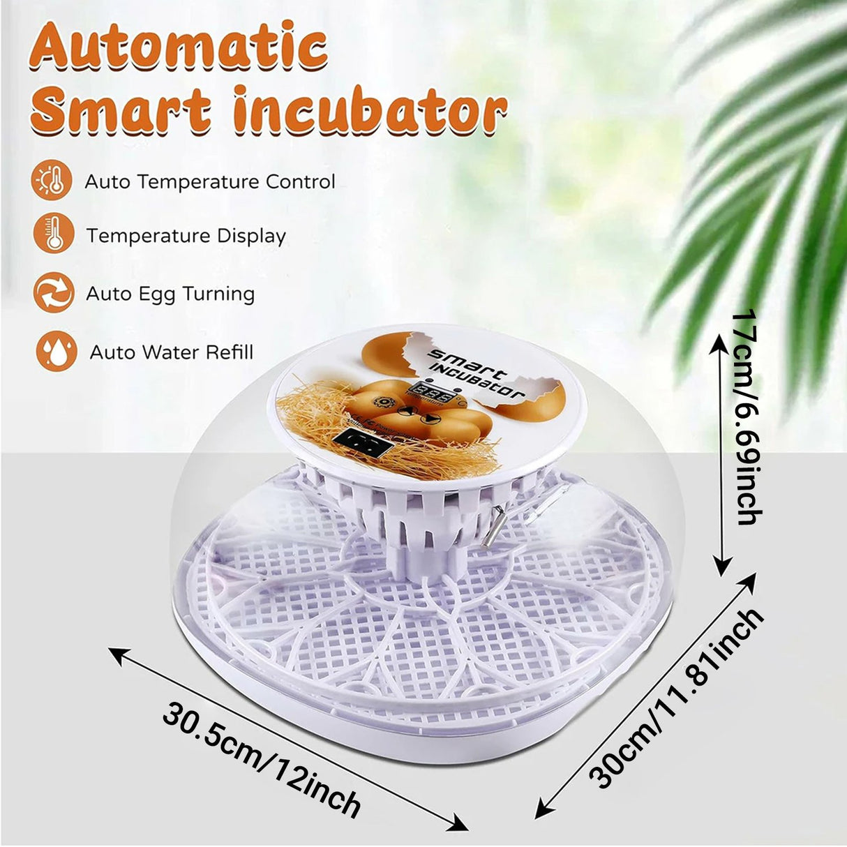 Automatic Small Egg Incubator for Chicken Pigeon