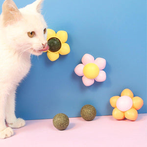 Catnip Ball Cat Toy Self-Hi Tooth Cleaning Rotating Mint Ball Toy Flower Catnip Ball