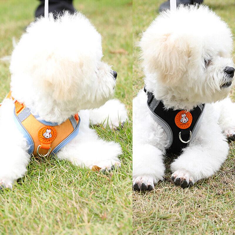 Soft Reflective Dog Vest Harness with Leash for Safe Walks