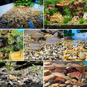 Fish Tank Bottom Sand Aquarium Decoration Landscaping Coloured Stones Gravel