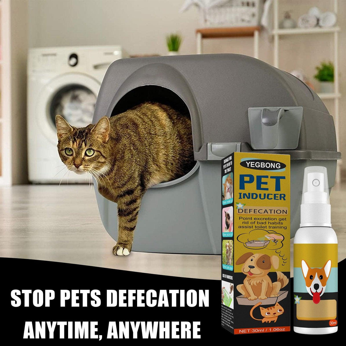 Cat And Dog Defecation Positioning Inducer