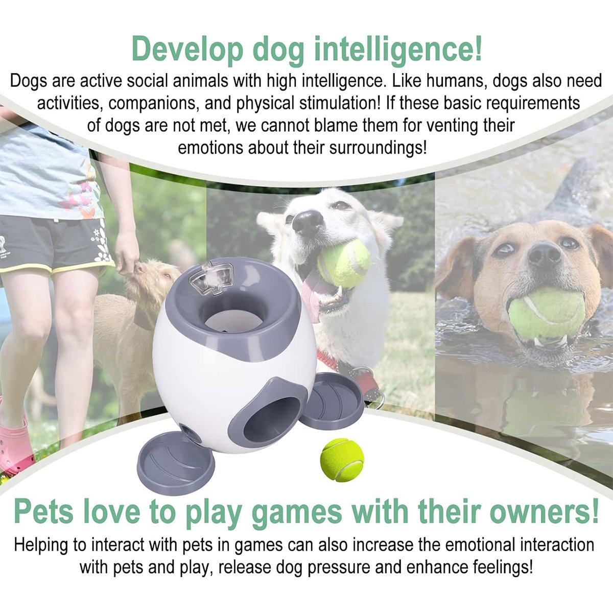 Automatic Ball Roll Out Launcher Interactive Dog Toy