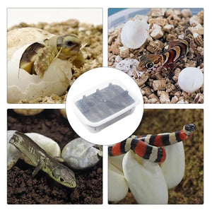 14 Grids Reptile Egg Incubator Secure Hatch Box for Lizards & Turtles